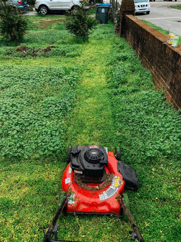 Patchy lawn to aerated and overseeded turf after style visual