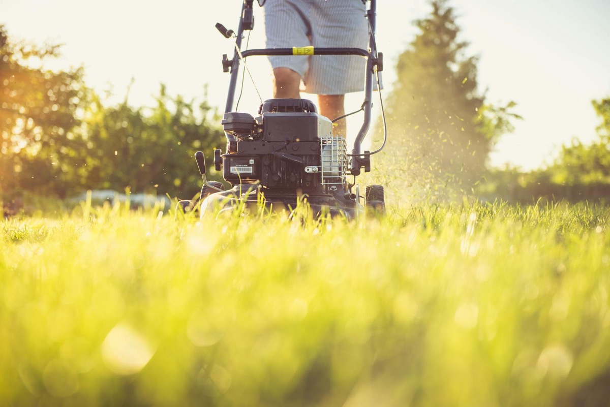 Weekly Lawn Maintenance landscaping visual
