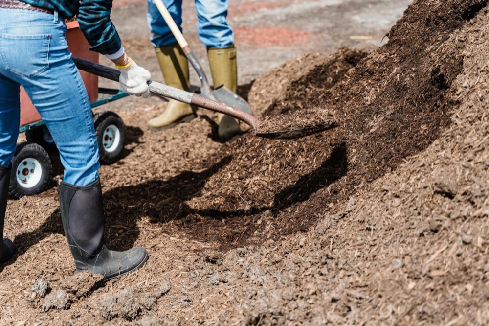Seasonal Cleanup & Mulch landscaping visual
